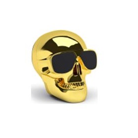 ENCEINTE AEROSKULL NANO