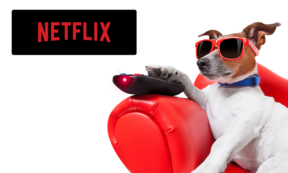 Il est facile d'accéder aux services de Netflix avec la POLAROID SMART TV LED 43' HD