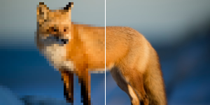 Image d'un renard à moitié pixelisée